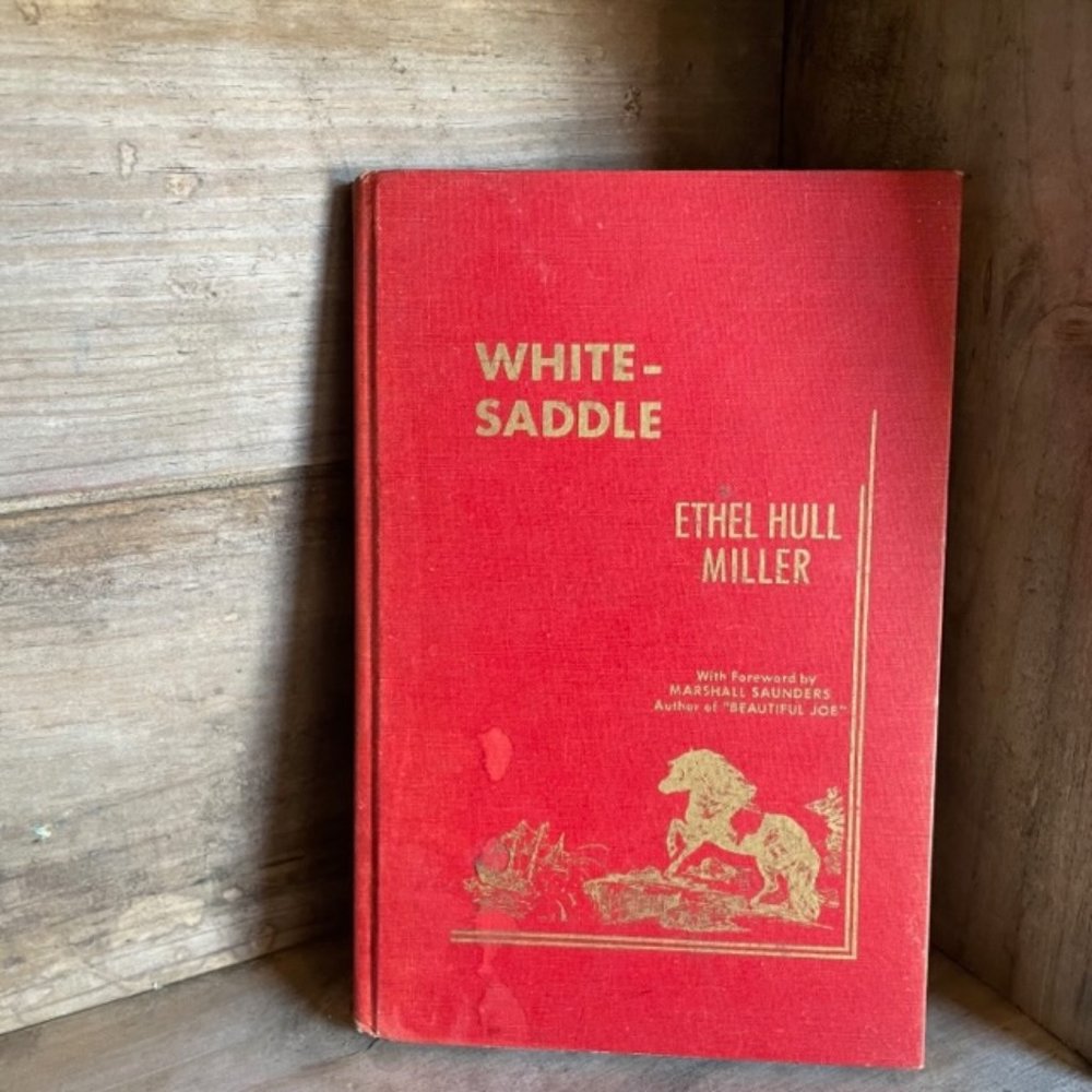 RARE Antique Vintage 1934 Horse Book White-Saddle Collectors Hard Copy - Picture 11 of 12
